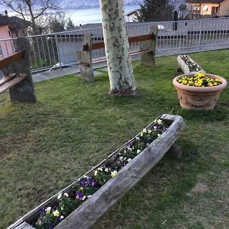Casa Rustica Apartment Gambarogno